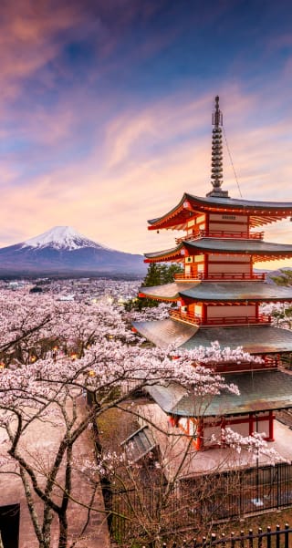 japon, cerisiers en fleur, mont fuji, voyages sur mesure